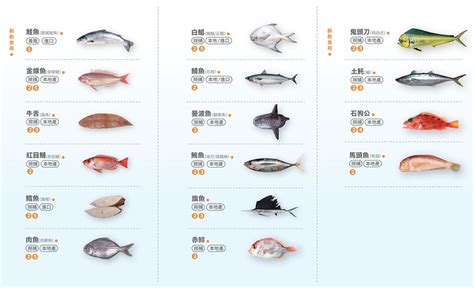 台灣魚排名 床 廁所門